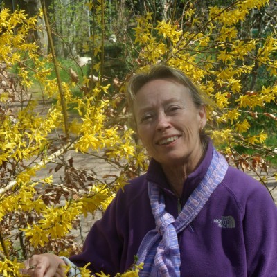 mariette
