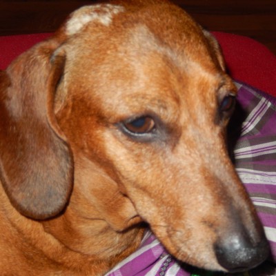Jolanta
